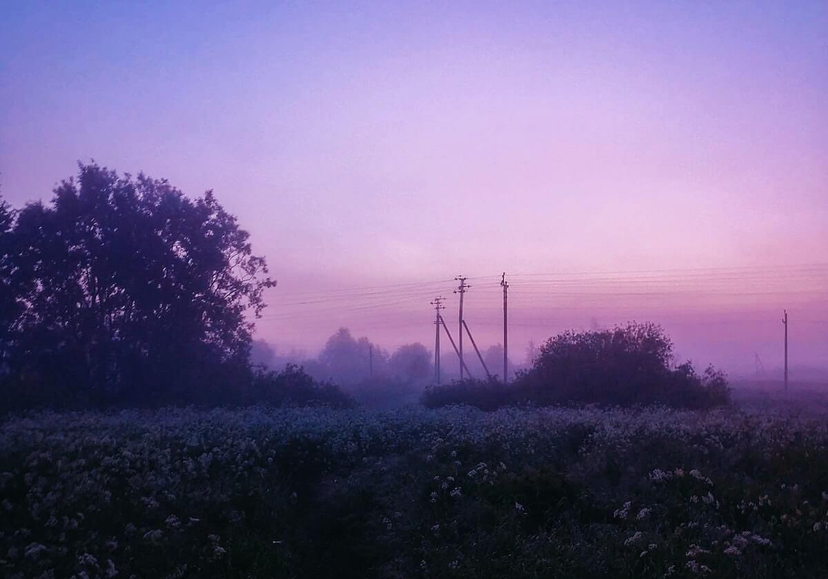 河南省委巡视组原正厅级巡视专员张光明被开除党籍